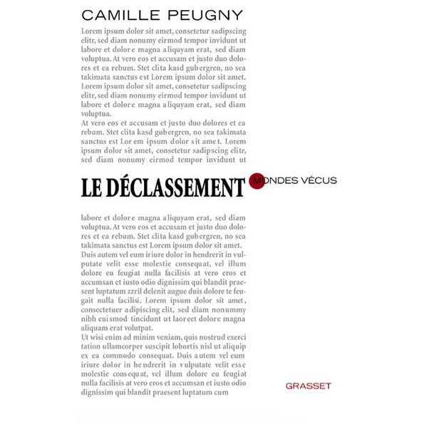 CamillePeugny_LeDeclassement_595